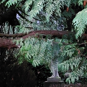 statue_et_arbre